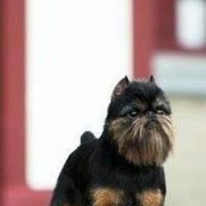 Meet your Posher, Beverly